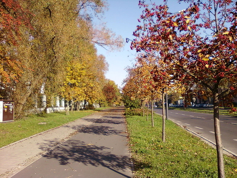 Al. Politechniki