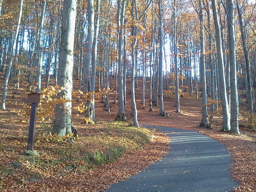 Podjazd