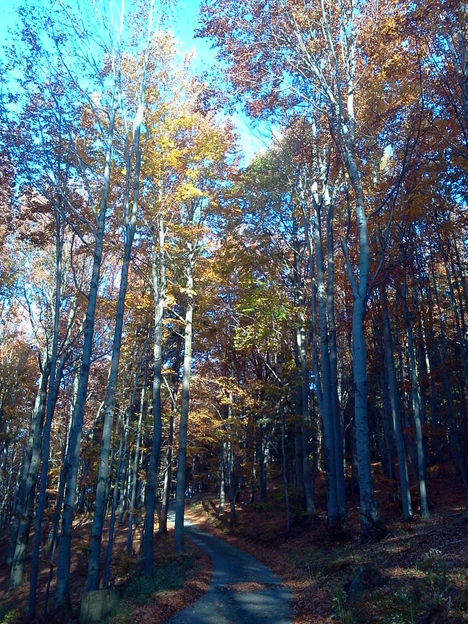 Podjazd