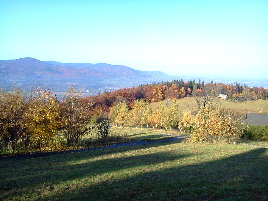 Jest co targać