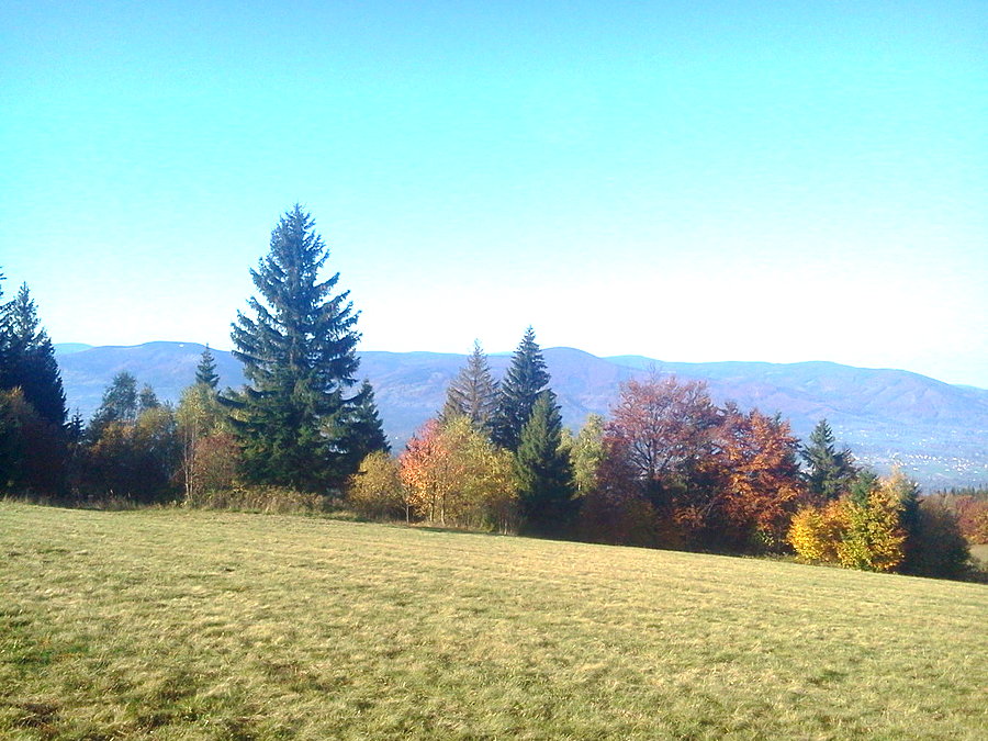 Kozubowa, Ostry i Jaworowy