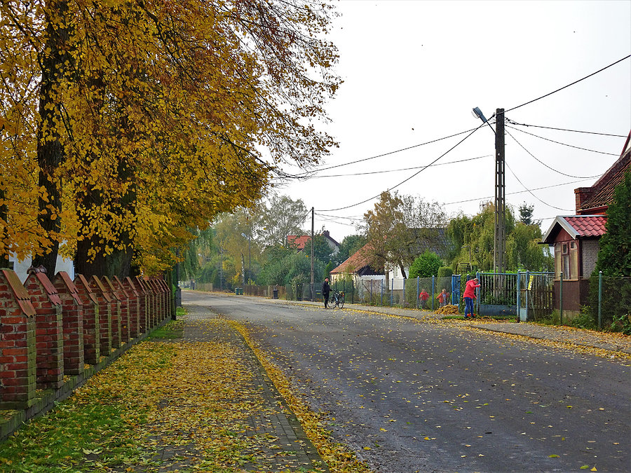 Wycieczka do Białej Góry - Żuławy