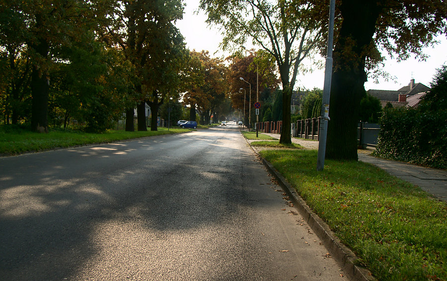 Ul. Niepodległości do Witkowa