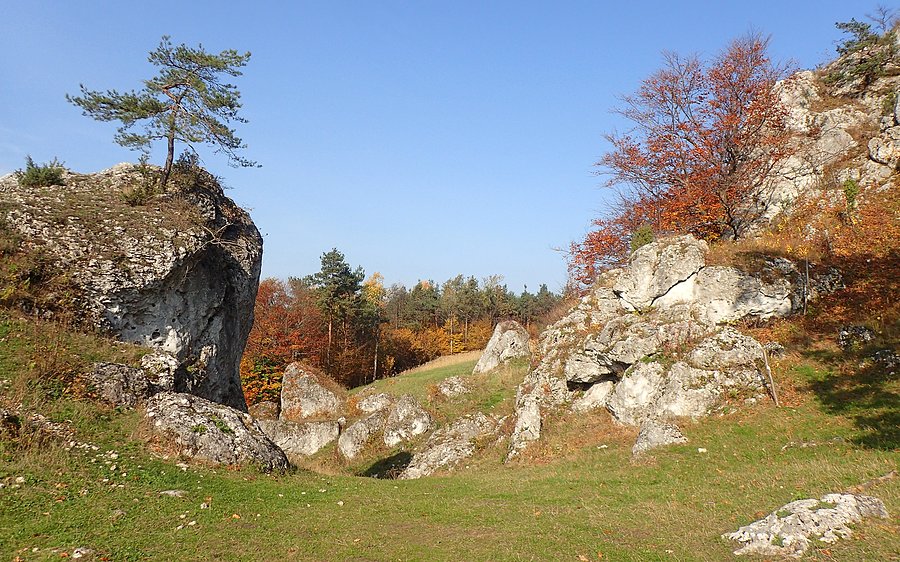 Wśród skał na Górze Zborów
