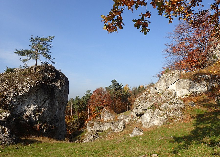 Wśród skałek