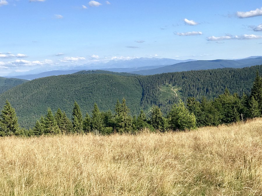 Jest na czym oko zawiesić