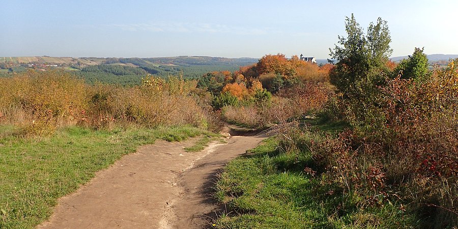 Widok z Grzędy Mirowskiej