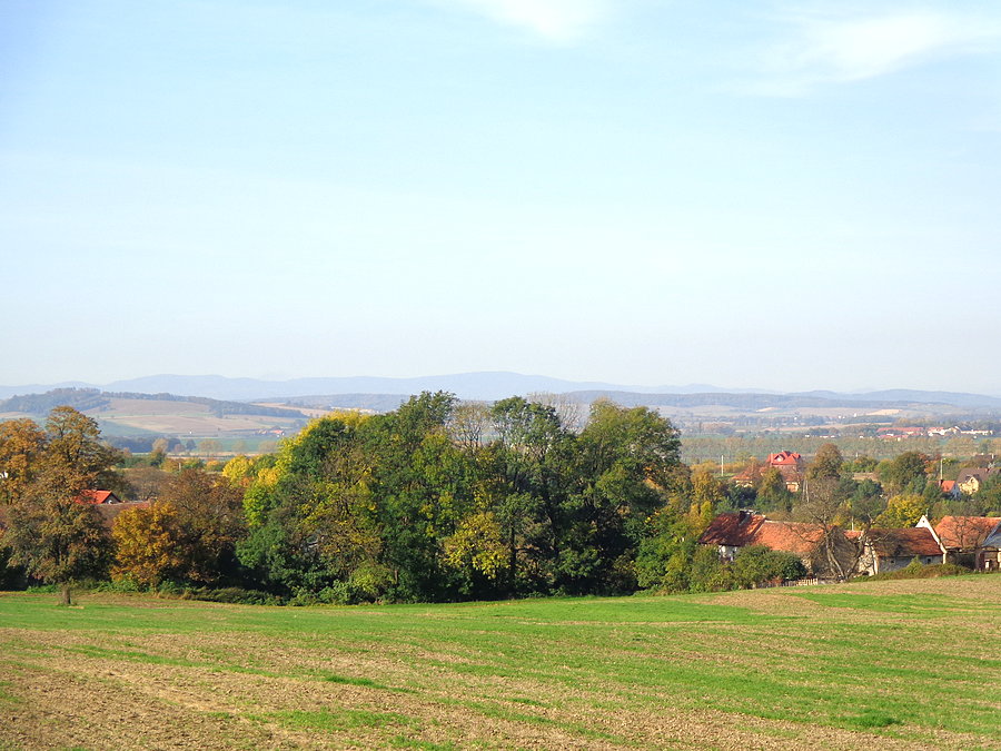 Góry Sowie z pod Strzelina