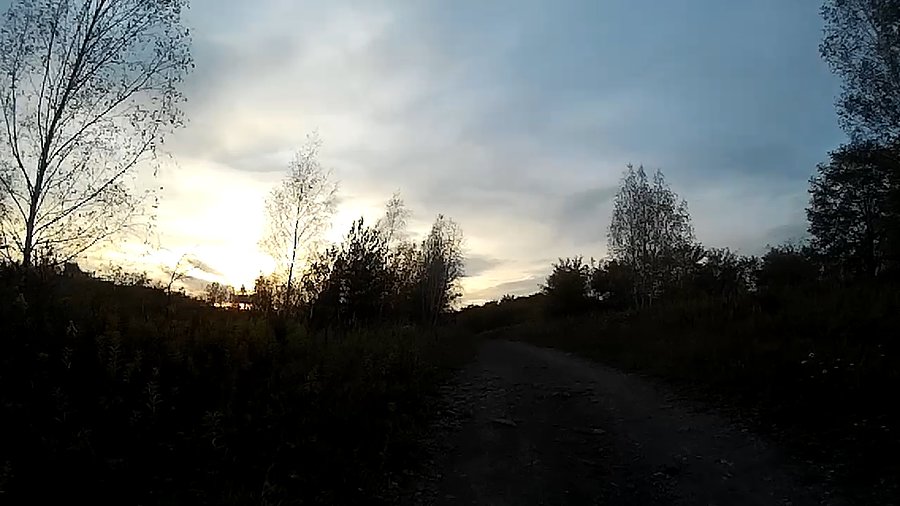 Idealny dzień