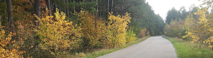 Jesień, jesień