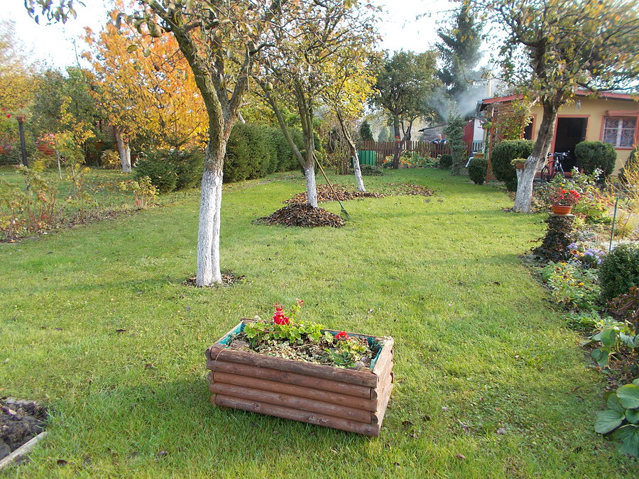 Działka Dareckiego