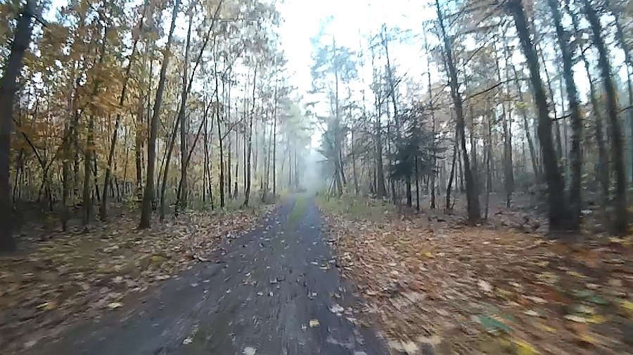 Uwielbiam takie klimaty, wczesna jesień, lekkie mgły, kolorowe liście