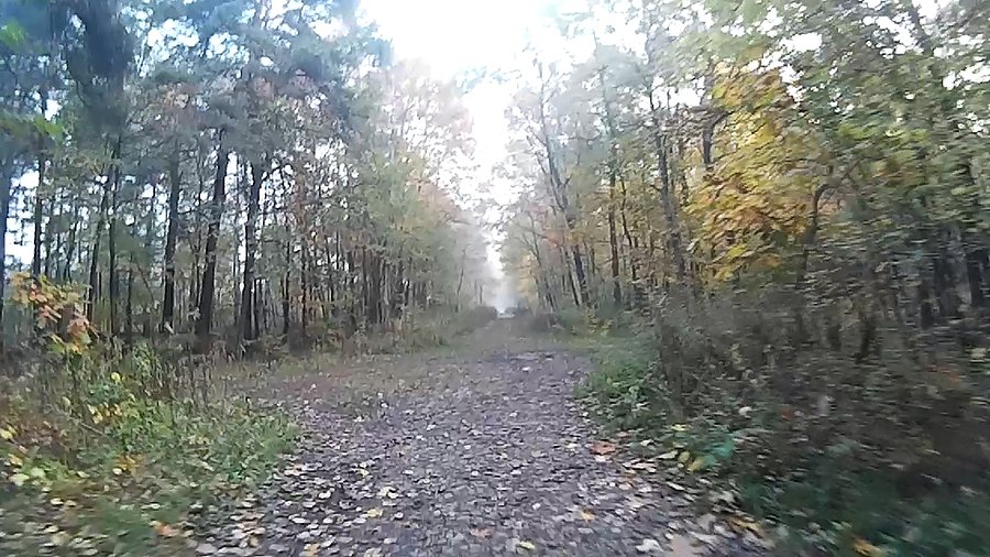 Słońce coś nie może dzisiaj się obudzić