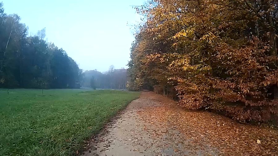 Kolorowy świat
