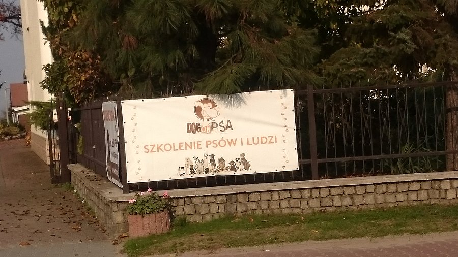 Najpierw szkolenie ludzi a potem psów