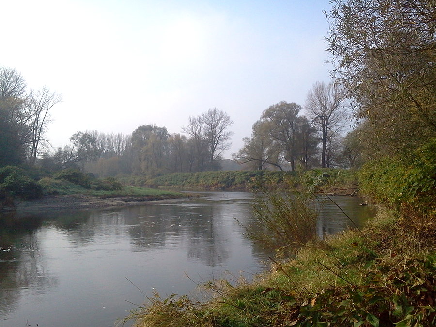 Rzeka Odra