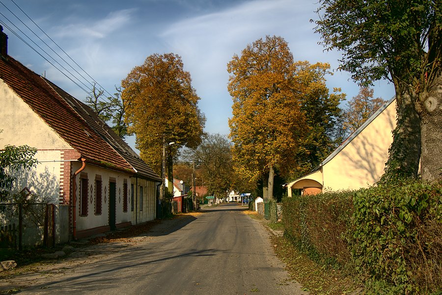 W Małkocinie