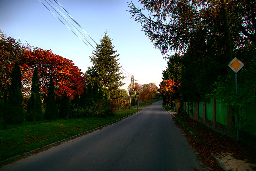 W Motańcu