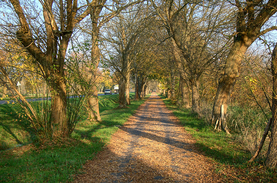 W drodze do Morzyczyna