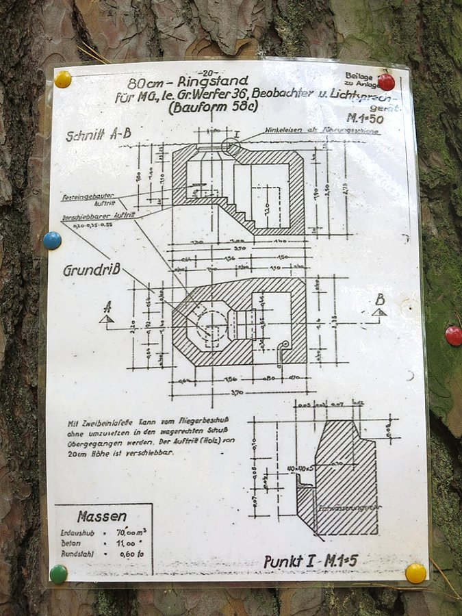 Info na drzewie
