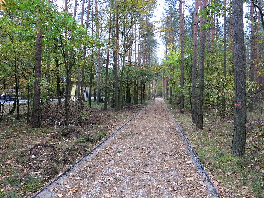 Nowy ślad, nowej ddr-ki w stronę Obelisku św. Huberta