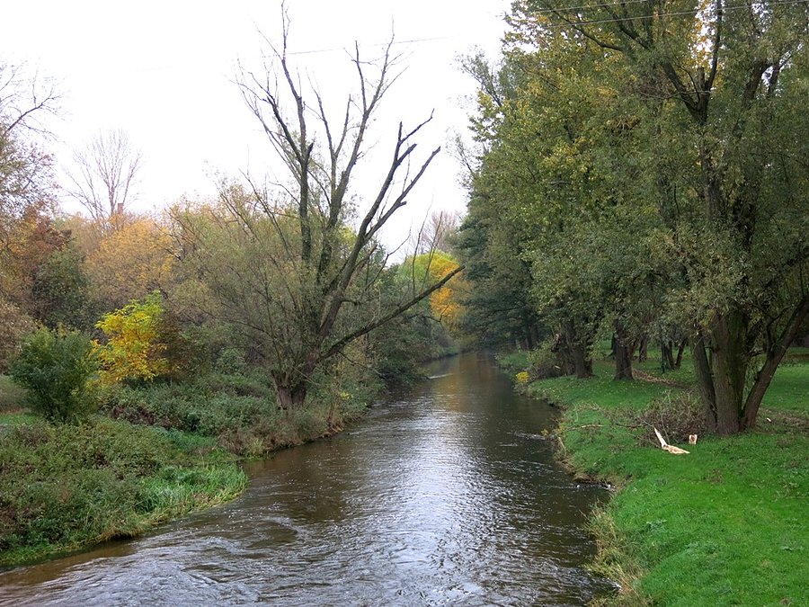 Nad Wolbórką