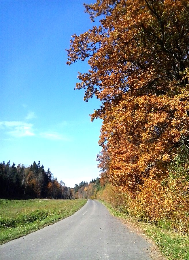 Gdzieś po drodze