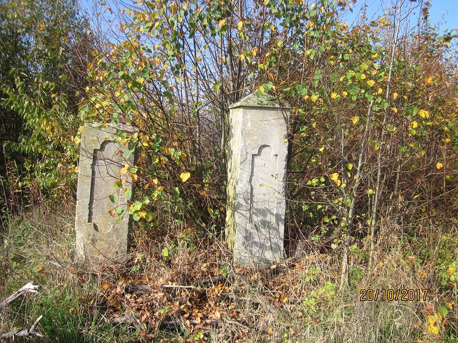 Kluczniki - fragmenty ogrodzenia