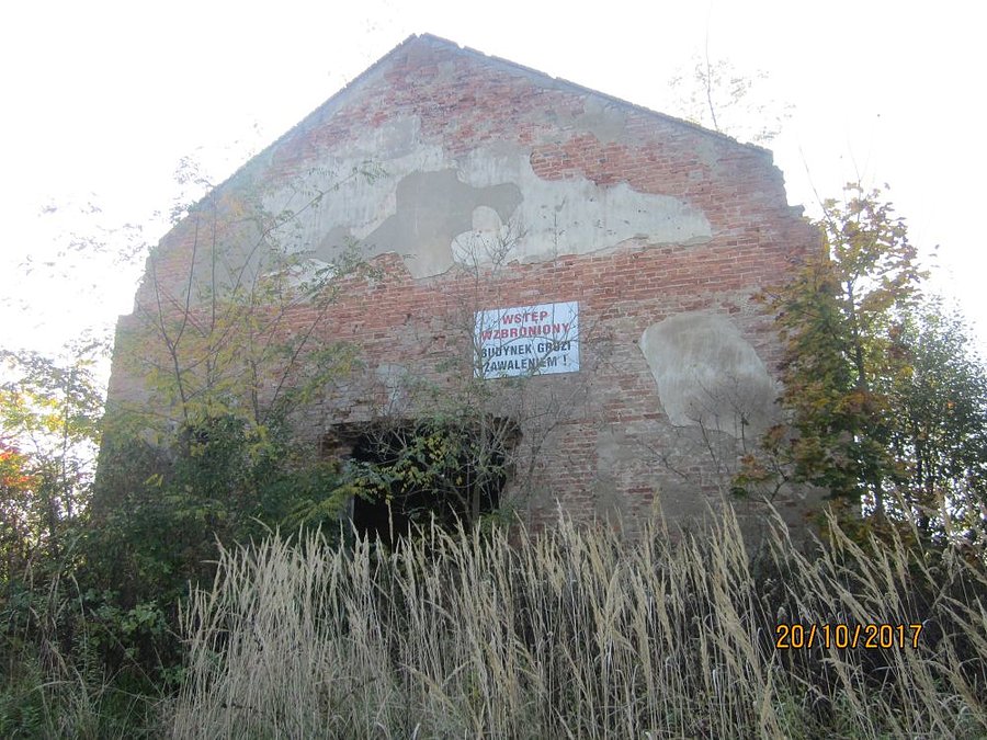 Wejście do stajni