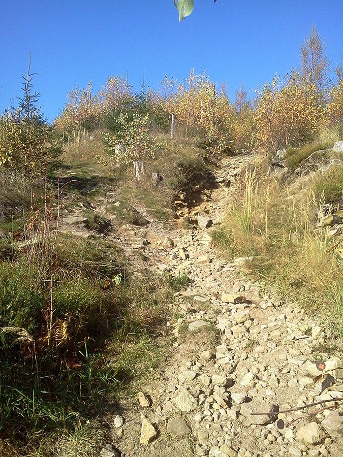 Najciekawszy fragment zjazdu