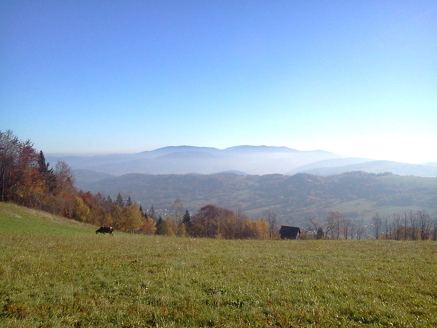 Widok z Tynioka