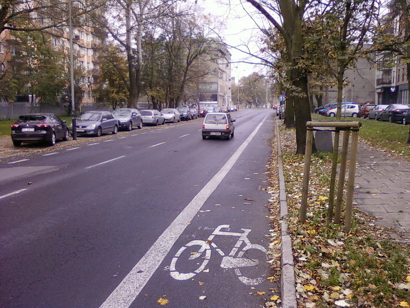 Pasz rowerowe na Żeligowskiego