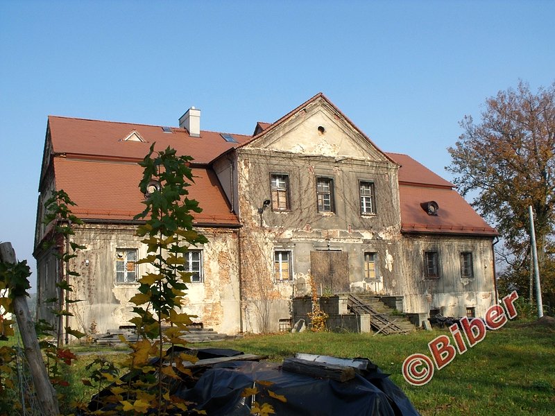 Zomek w Palowicach