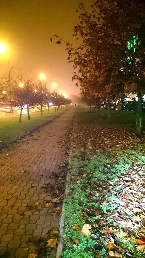 Powązkowska