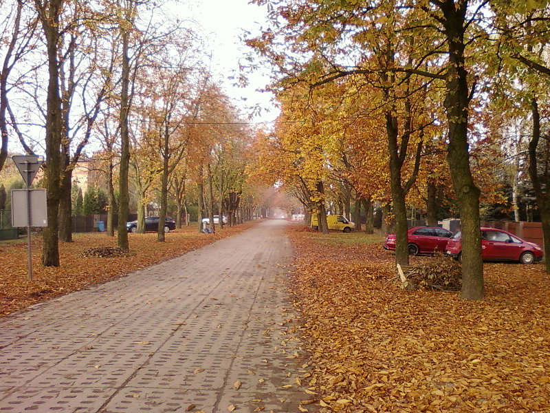 Chałubińskiego