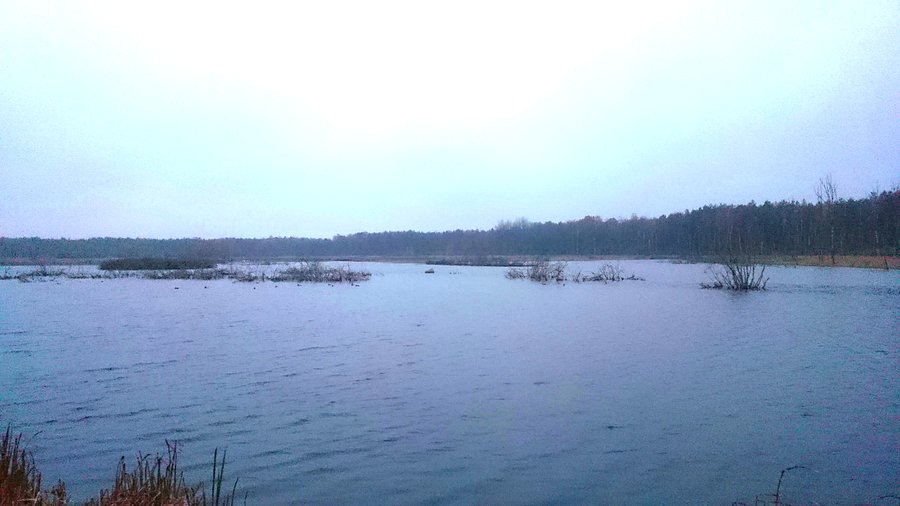 Mokre Łąki