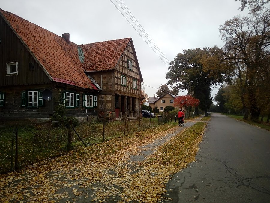 Żuławy jesienią- Gniazdowo