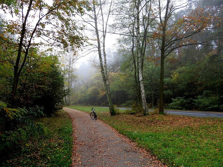 W Nagórzycach