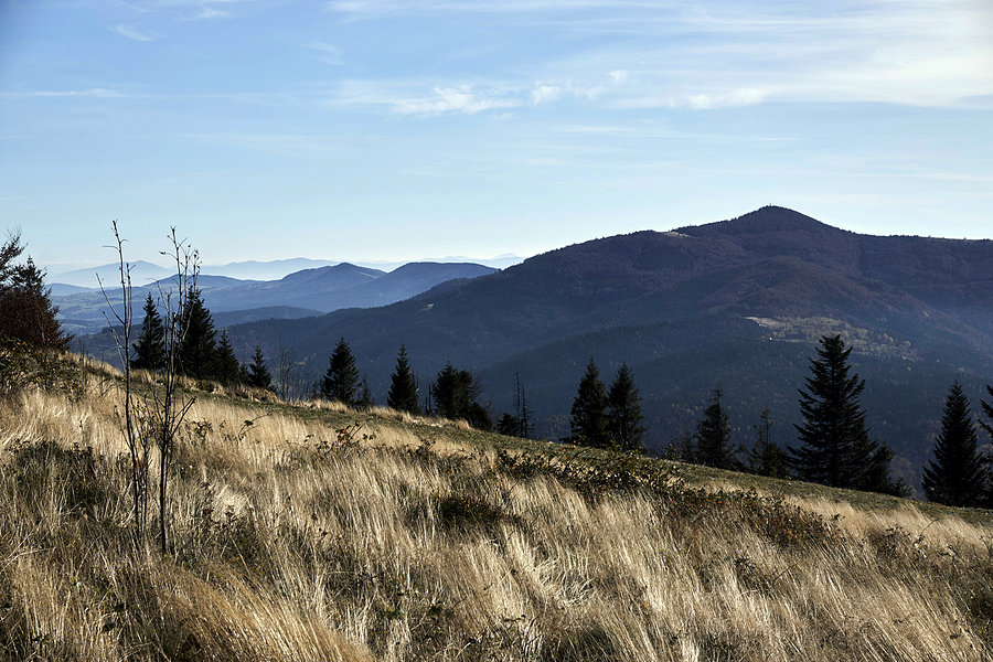 Mogielica (1170 m.n.p.m)