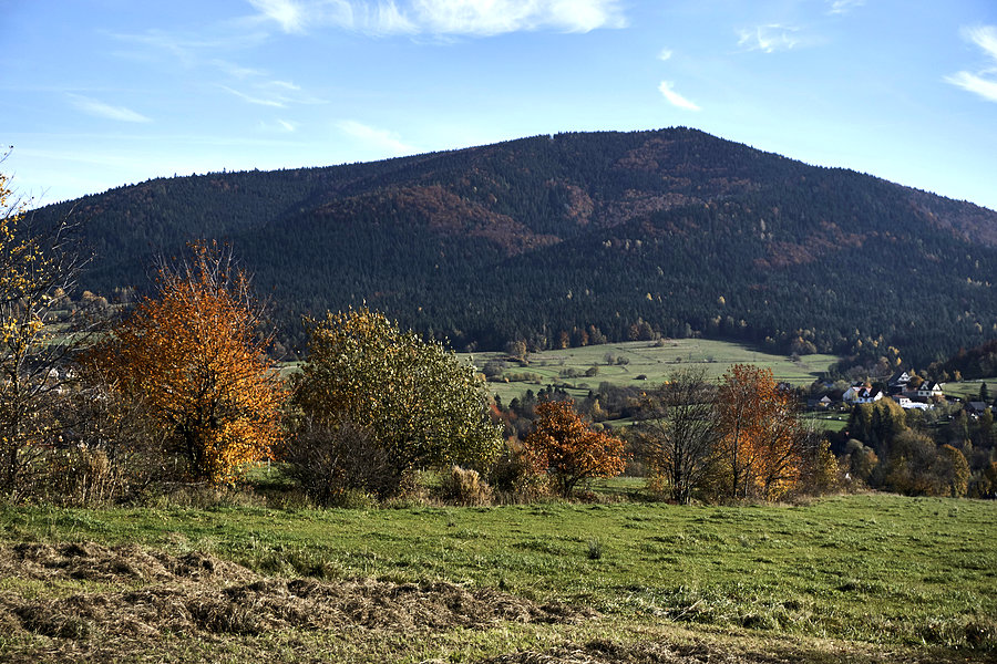 Na Ćwilinie #1