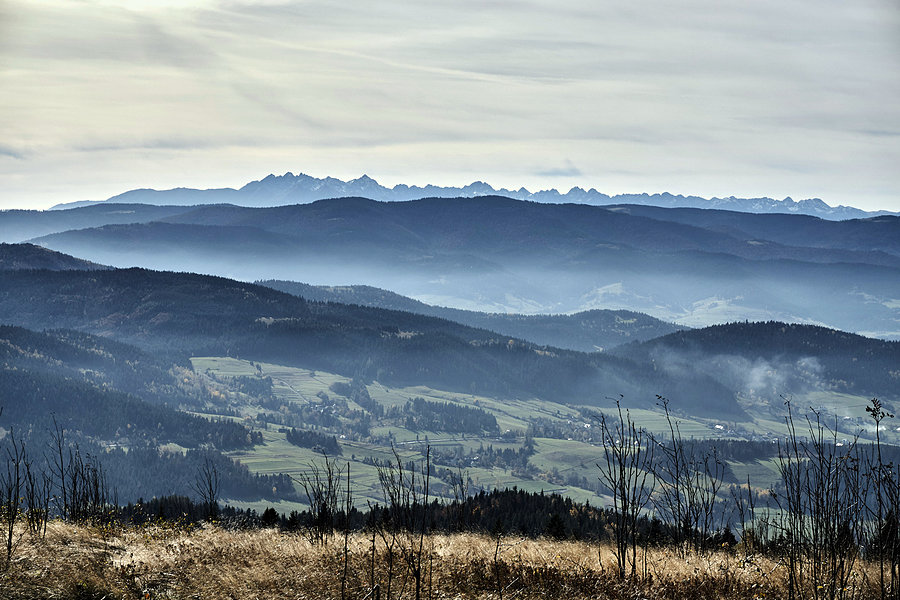 Na Ćwilinie #2