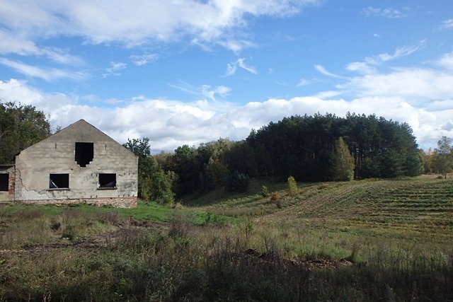 Okolice Szwedzkich Okopów (grodziska)