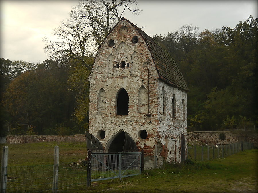 Dąbroszyn - gołębnik na dawnym folwarku