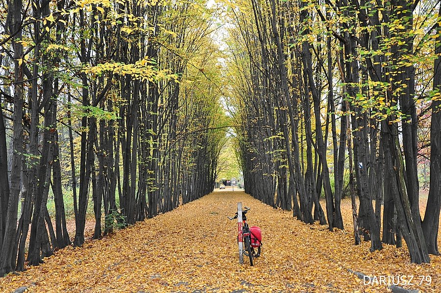 Siemianowice Śląskie - Park Miejski