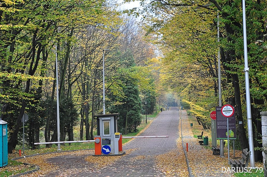 Chorzów - Park Śląski