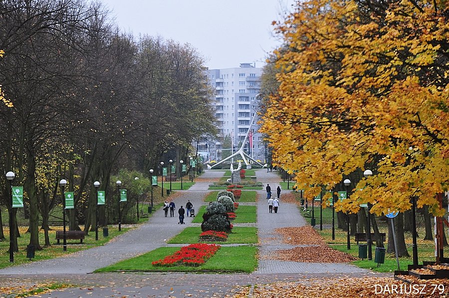 Chorzów - Park Śląski