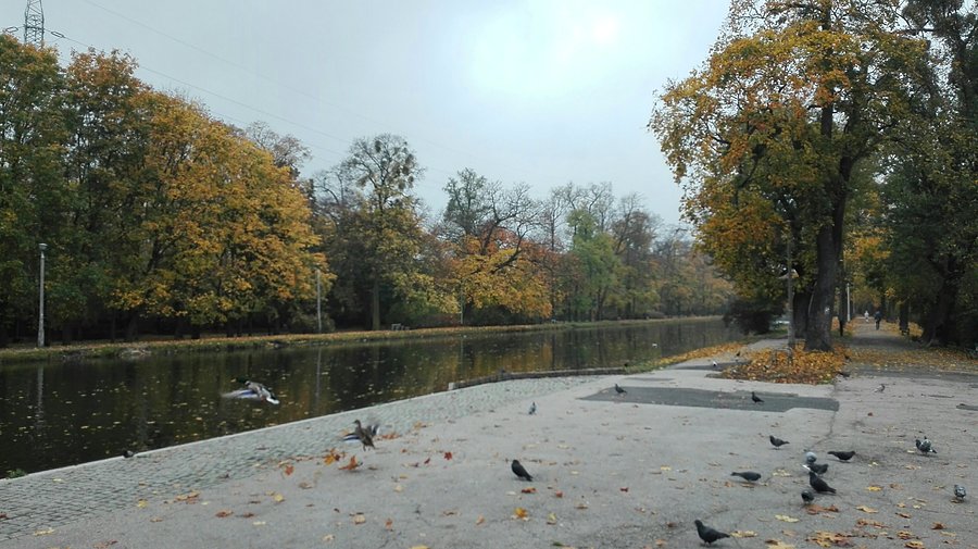 Jesień nad kanałem