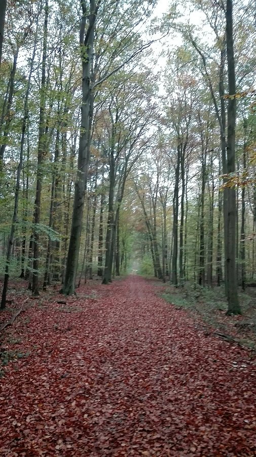 Zacisze