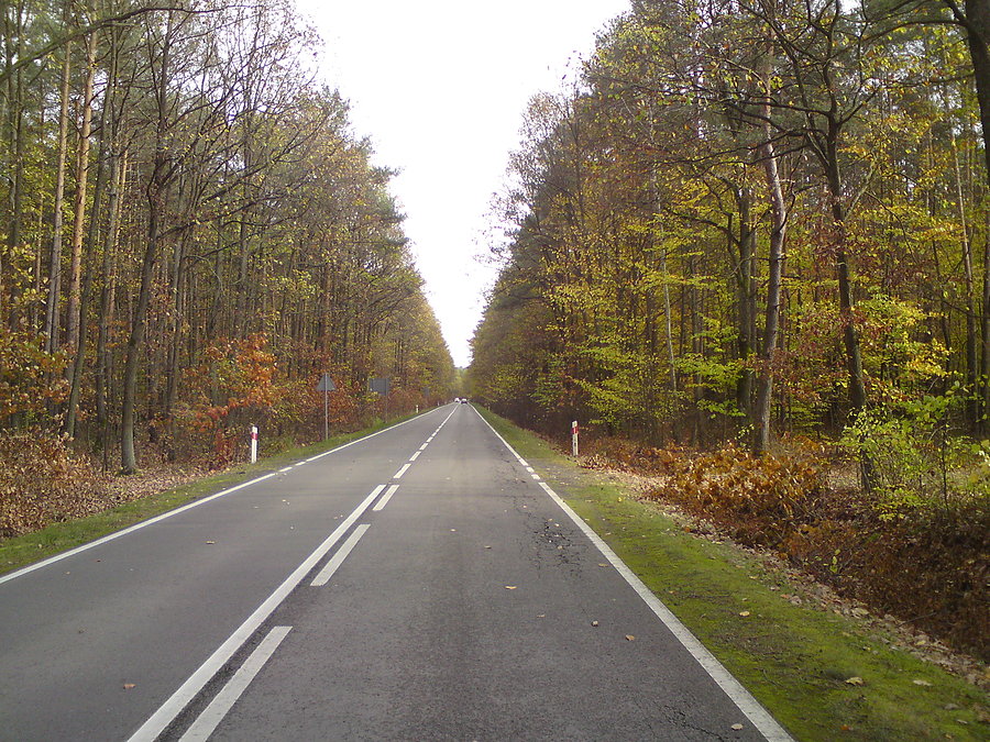 Na trasie DW 396