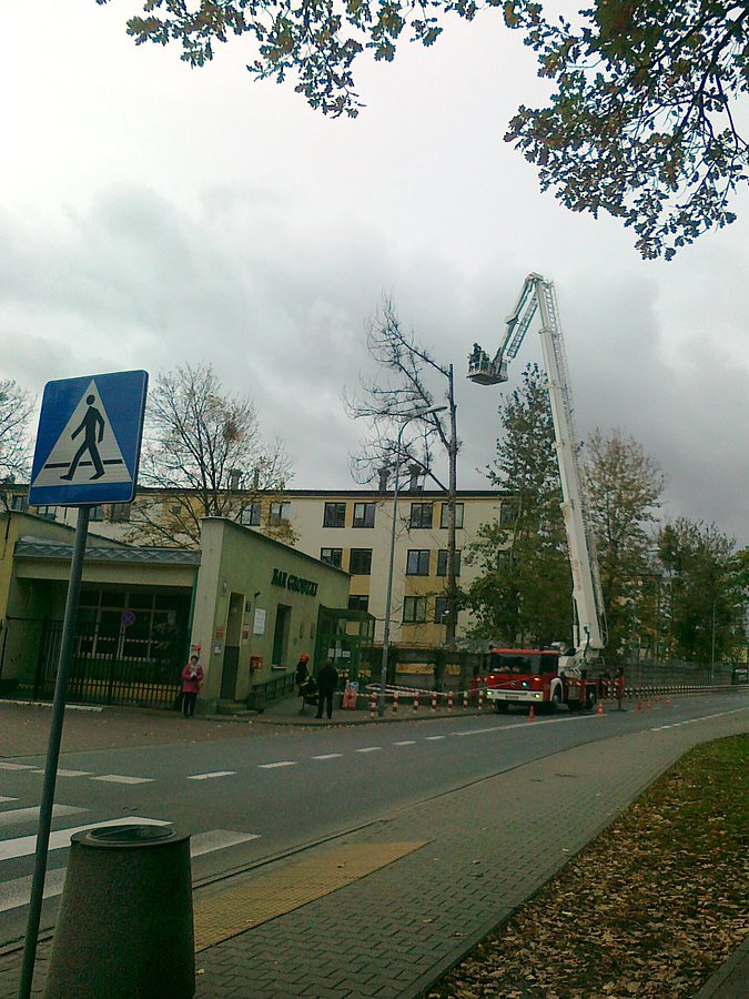 Wycinanie drzewa za pomocą strażackiego podnośnika